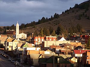 Butteview