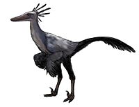 Byronosaurus.jpg