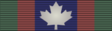 Canadian Volunteer Service Medal BAR 2.svg
