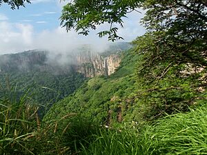 Cascada, Barranca de Huentitlan, Jalisco - panoramio (4)