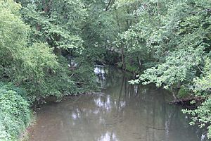 Chillisquaque Creek near Washingtonville 1