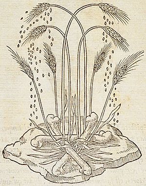 Claude Paradin - Devises heroïqves (1557) FPAb182