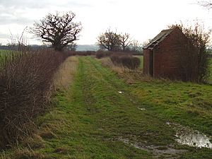 Course of Belvoir (Beaver) Castle tramway - geograph.org.uk - 322185