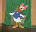 Daisy Duck first appearance