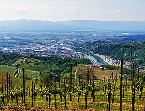 Darja Gramc Kavčič - Panorama Videm-Krško