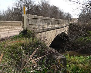 Deering Bridge 5