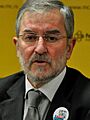 Dragan Todorović crop