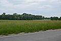 Duncan Farm Site