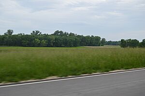 Duncan Farm Site