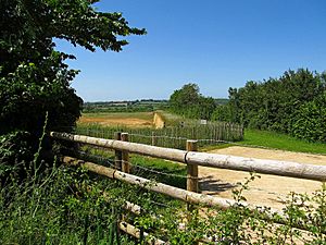 Duns Tew Sandpit (geograph 6194136).jpg