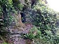 Dunton Cove, Scottish Covenanters artificial cave side view, Craufurdland Water, Ayrshire