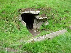 Entrance to South Passage Dowth Megalithic Tomb - geograph.org.uk - 491364