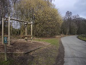 Exercise equipment within Trosley Country Park - geograph.org.uk - 1752030