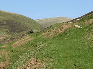 Footpath to Enterkin Pass - geograph.org.uk - 417062