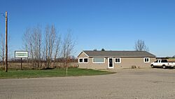 Fremont Township, Michigan library