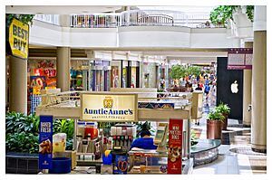 Galleria2013