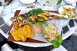 Grilled yellow snapper with green papaya salad and tostones
