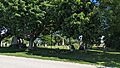 Harpurhey Cemetery - Harpurhey, ON