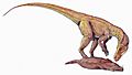 Herrerasaurus DB