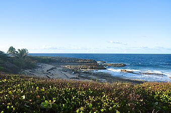 Hidden beach, Manati, PR - panoramio