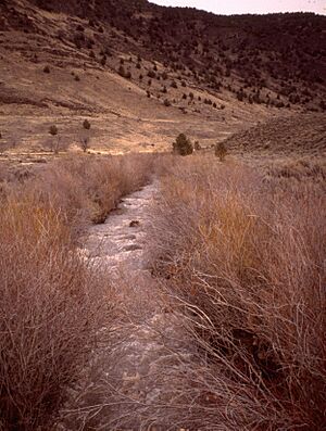 Home Creek in Catlow Valley, Oregon