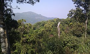 Kaeng Krachan