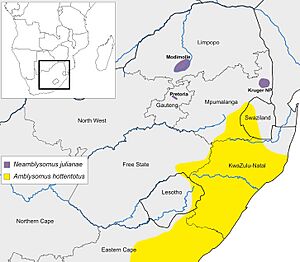 Known geographic distribution of the widespread Hottentot golden mole and range-restricted Juliana’s golden mole Klopper