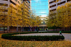 Labyrinth at Trinity Square Toronto