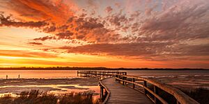 Lake Clifton, part of the Peel-Yalgorup System, Western Australia 01