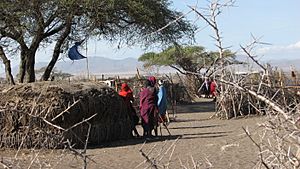 Maasai Enkang and Hut