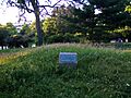 Observatory Hill Mound Group 3