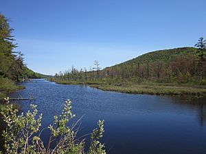 Oxbow Lake Outlet, Hamilton Co., New York