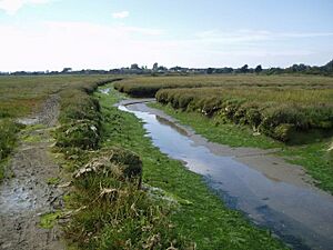 Pagham Harbour creek - geograph.org.uk - 230063