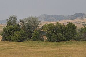 ParkCountyMT RolfsonHouse