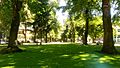 Park Blocks July 2016 - Portland, Oregon
