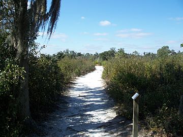 Paynes Creek SP path to fort01