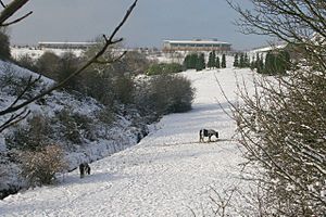 Phoenix Park Golf Course - viewed from Daleside Road - geograph.org.uk - 1146095