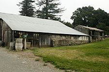 Picchetti Ranch Barn