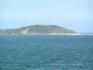 Point Nepean from Queenscliff