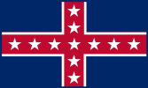 Polks corps flag
