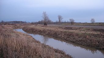 Prairie Creek Site.jpg