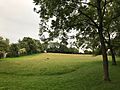 Queenhill Park, Selsdon