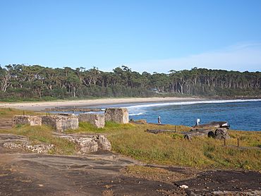 Remains of the Bawley Point Sawmill and Bawley Point Wharf February 2015.jpg
