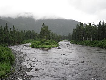 Rivière Cascapédia.jpg
