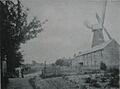 Rodmersham Green Windmill 1906 crop