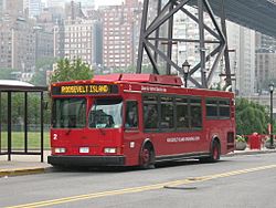 Red-colored bus
