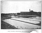 Salt Works, Redondo, Los Angeles County circa 1902