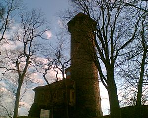 Schlossturm-Auerbach.jpg