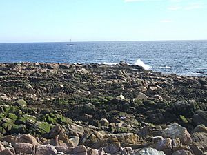 Scottish Mainland's Most Easterly Point - geograph.org.uk - 230523