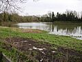 Skaters' Meadow - geograph.org.uk - 1167391